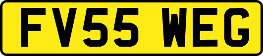 FV55WEG