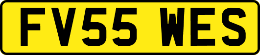 FV55WES