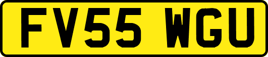 FV55WGU