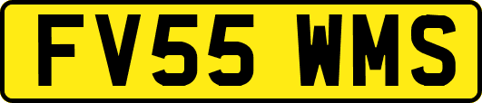 FV55WMS
