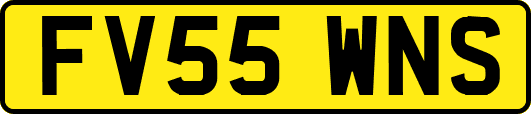 FV55WNS