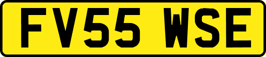 FV55WSE