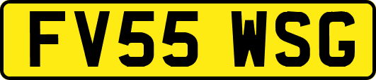 FV55WSG