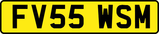 FV55WSM