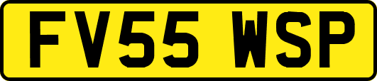 FV55WSP
