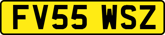 FV55WSZ