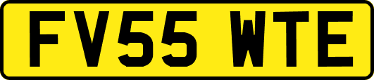FV55WTE