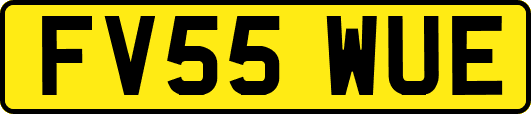 FV55WUE