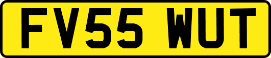 FV55WUT