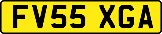 FV55XGA