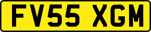 FV55XGM