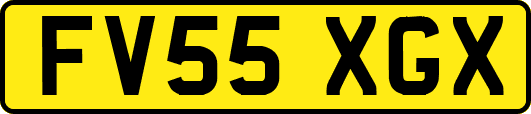 FV55XGX