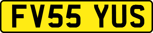 FV55YUS