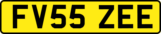 FV55ZEE