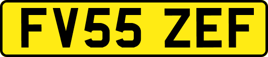 FV55ZEF