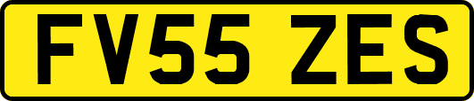 FV55ZES