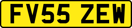 FV55ZEW