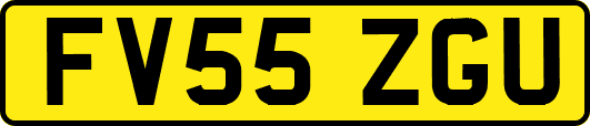 FV55ZGU
