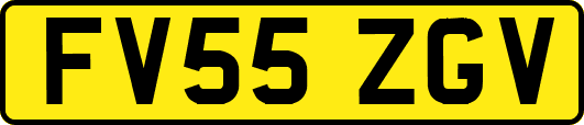 FV55ZGV