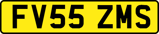 FV55ZMS