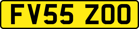 FV55ZOO