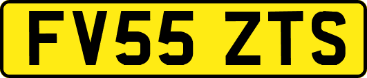 FV55ZTS