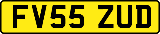 FV55ZUD