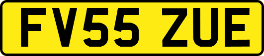 FV55ZUE