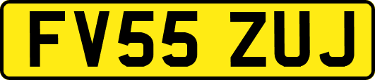 FV55ZUJ