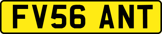 FV56ANT