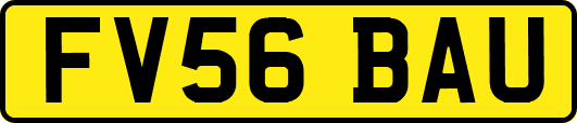FV56BAU