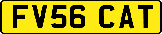 FV56CAT