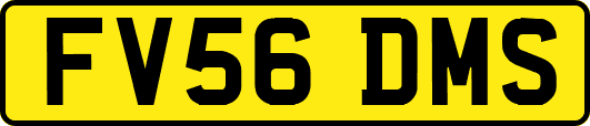 FV56DMS