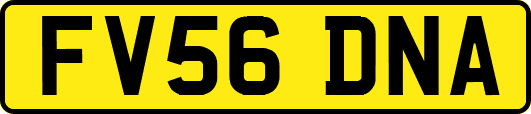 FV56DNA