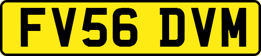FV56DVM