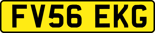 FV56EKG