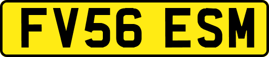 FV56ESM