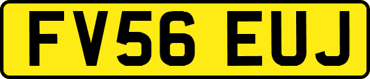 FV56EUJ