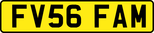 FV56FAM