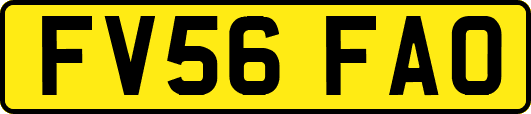 FV56FAO