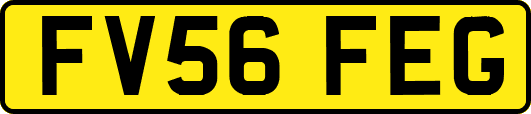 FV56FEG