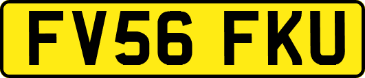 FV56FKU