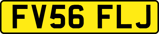FV56FLJ