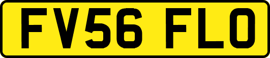 FV56FLO