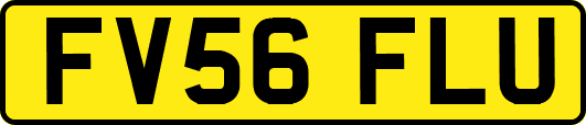 FV56FLU