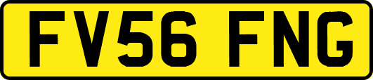 FV56FNG