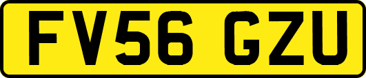 FV56GZU