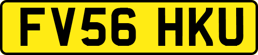 FV56HKU