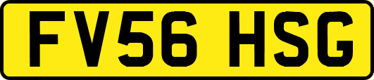 FV56HSG