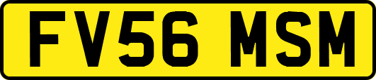 FV56MSM